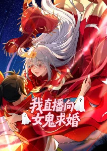 幻影旅团 动漫 2024